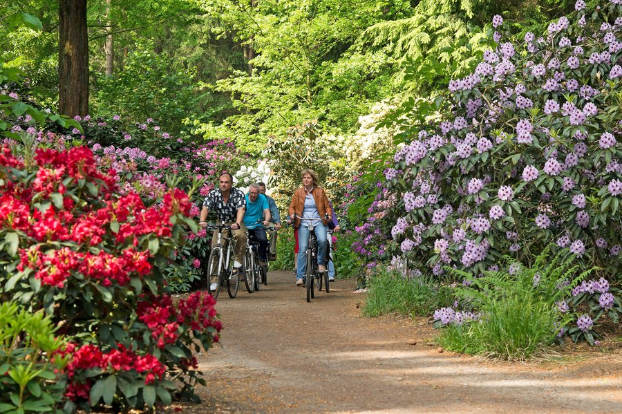 Radfahrer fahren durch Blütenbüsche