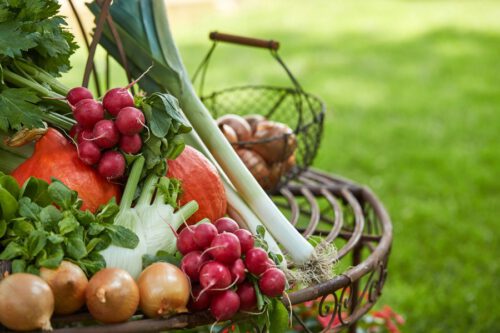 Gemüsekorb