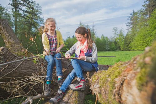 Kinder spielen vor einer Waldlichtung